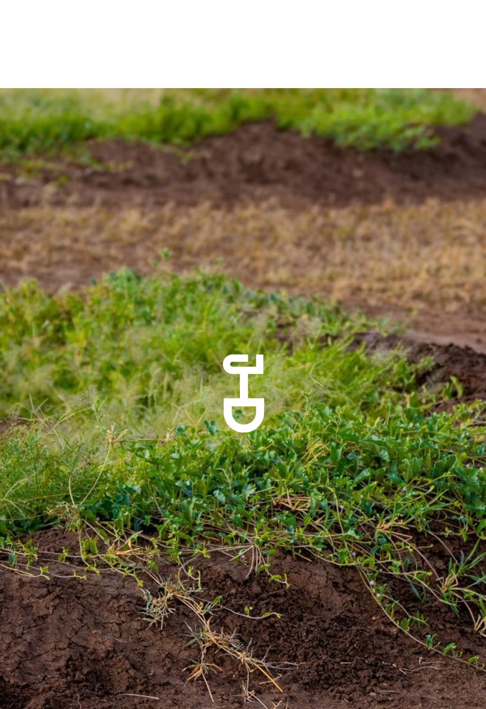 Justdiggit Water Bund